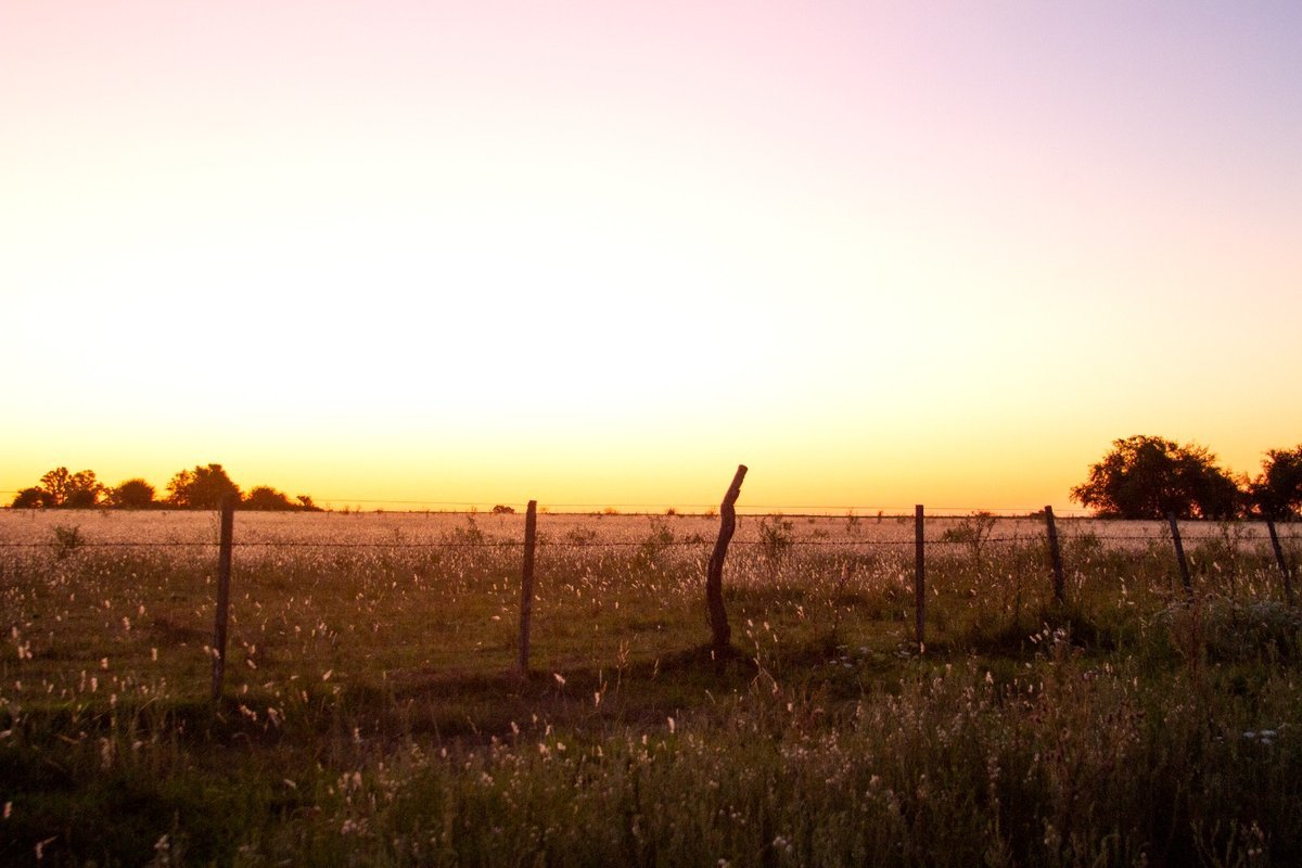 Baradero es una destino elegido por el turismo para visitar los fines de semana.