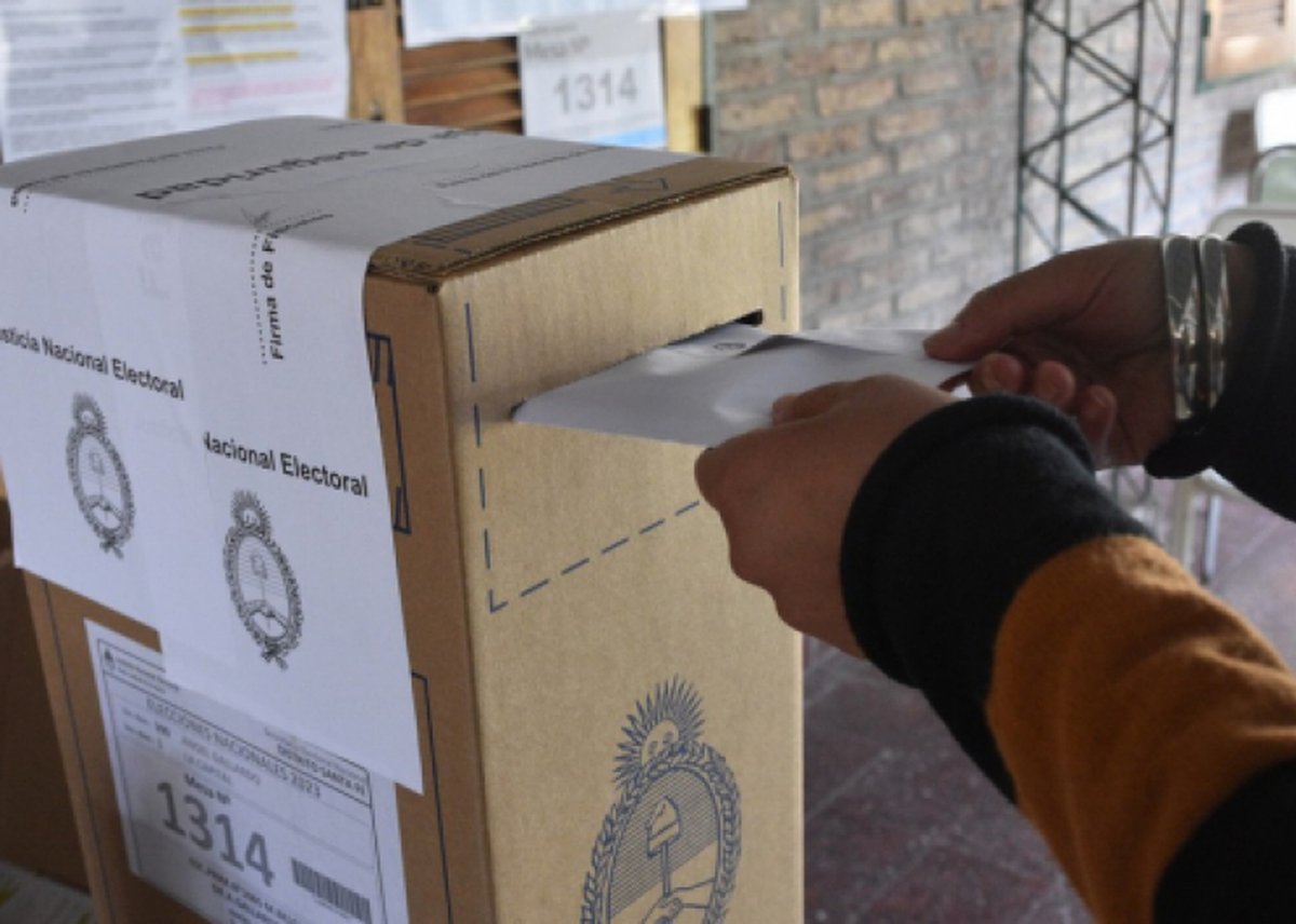 Elecciones PASO 2023: qu&eacute; tr&aacute;mite debo realizar si no vot&eacute;.