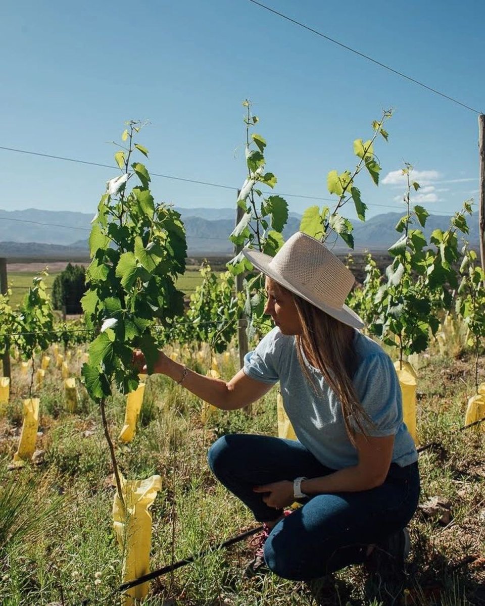 Paula Gonz&aacute;lez, en&oacute;loga de Salentein.