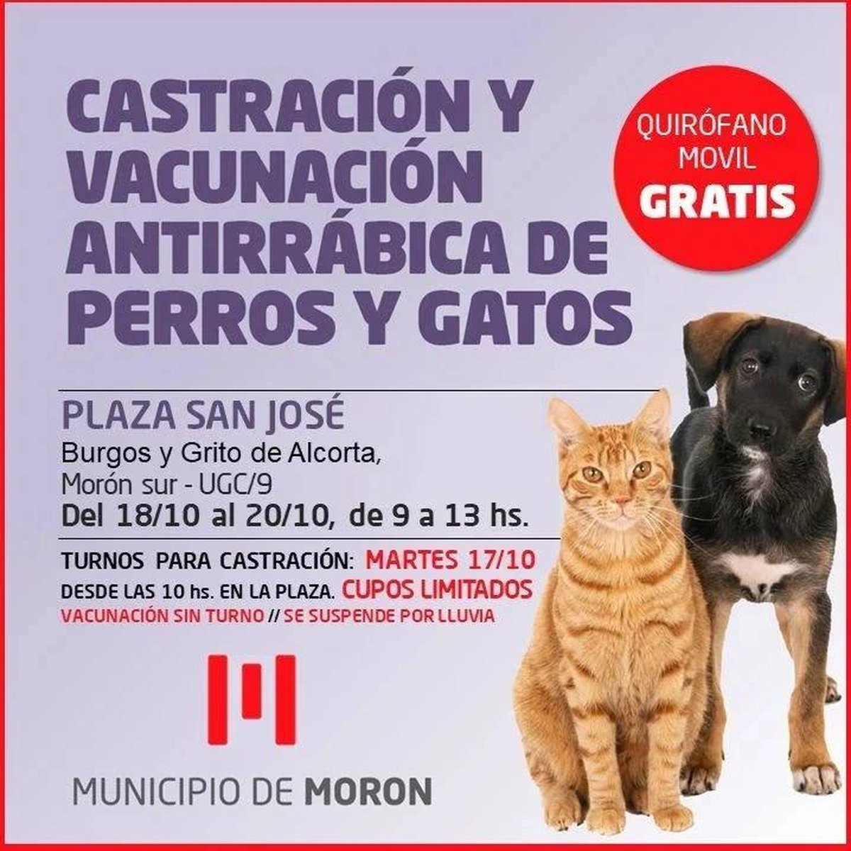 El quir&oacute;fano m&oacute;vil de zoonosis de Mor&oacute;n ofrece vacunaci&oacute;n antirr&aacute;bica y castraci&oacute;n.