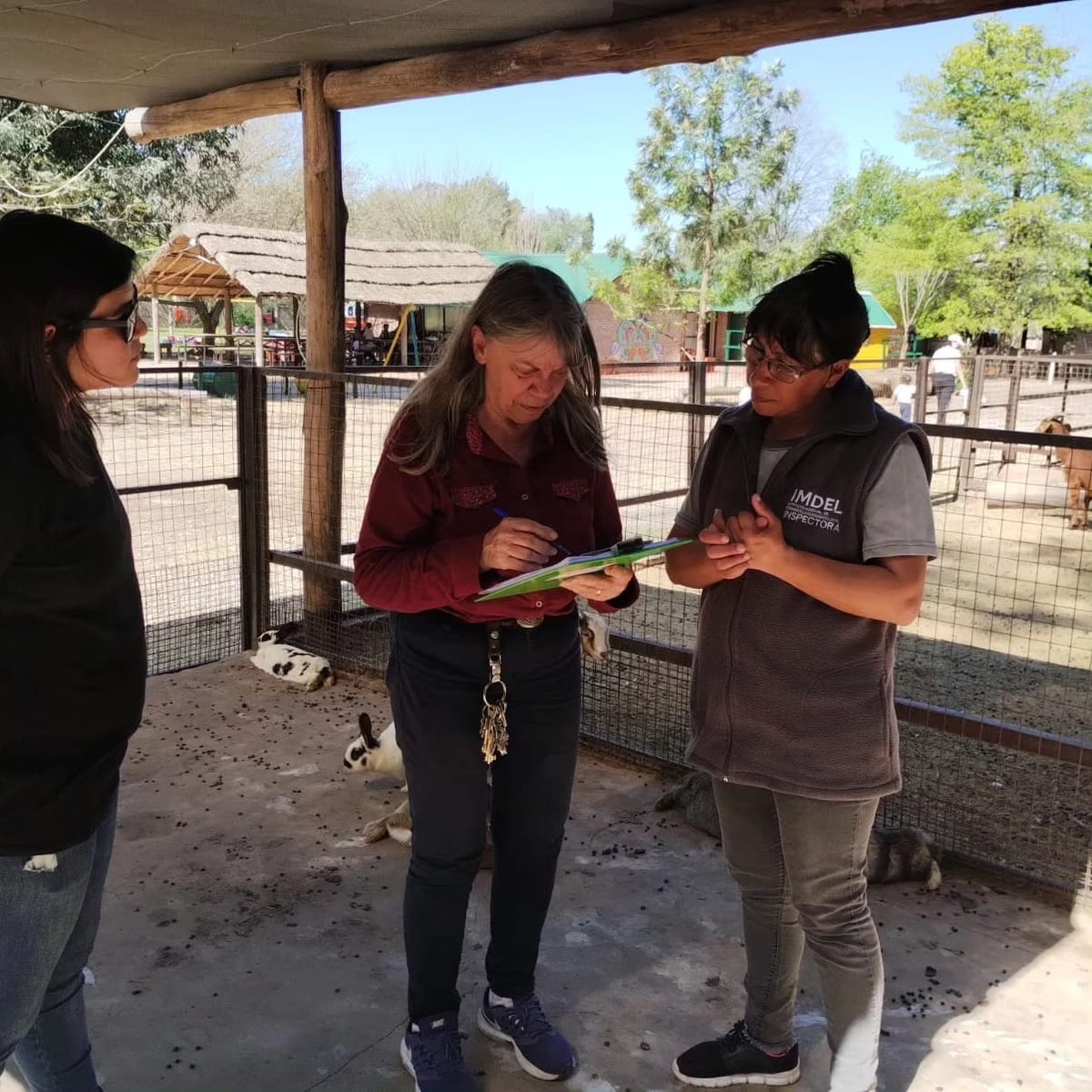 Rescataron varios conejos en venta clandestina en Moreno.