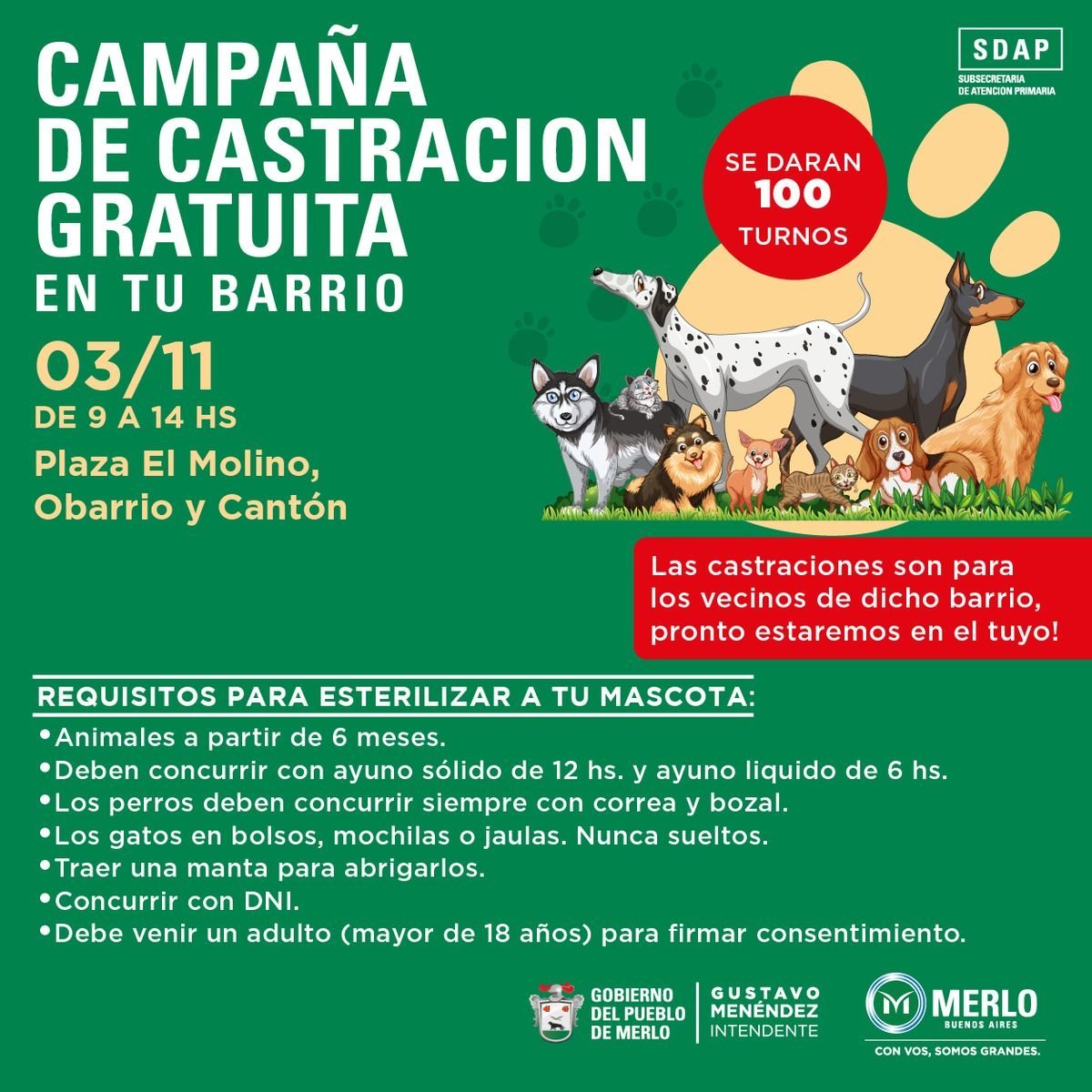 Castraciones gratuitas para mascotas en Merlo. 