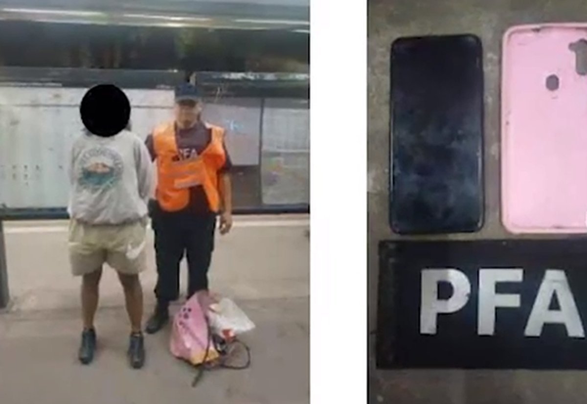 La ladrona y el celular robado en el Tren Sarmiento.