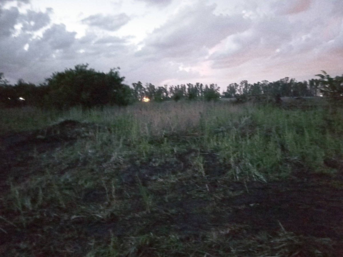 El predio de Virrey del Pino denunciado como "arrasado".