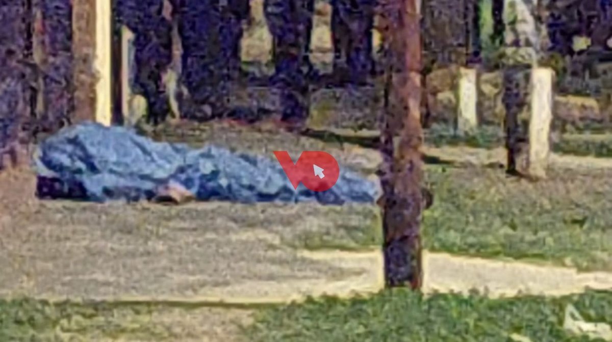 El ladr&oacute;n abatido en Mor&oacute;n Sur.