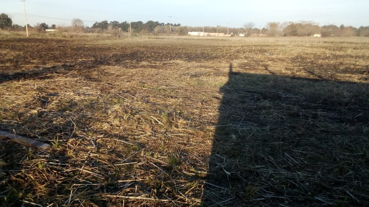 El terreno bald&iacute;o de Virrey del Pino sobre el que se asent&oacute; el refugio.