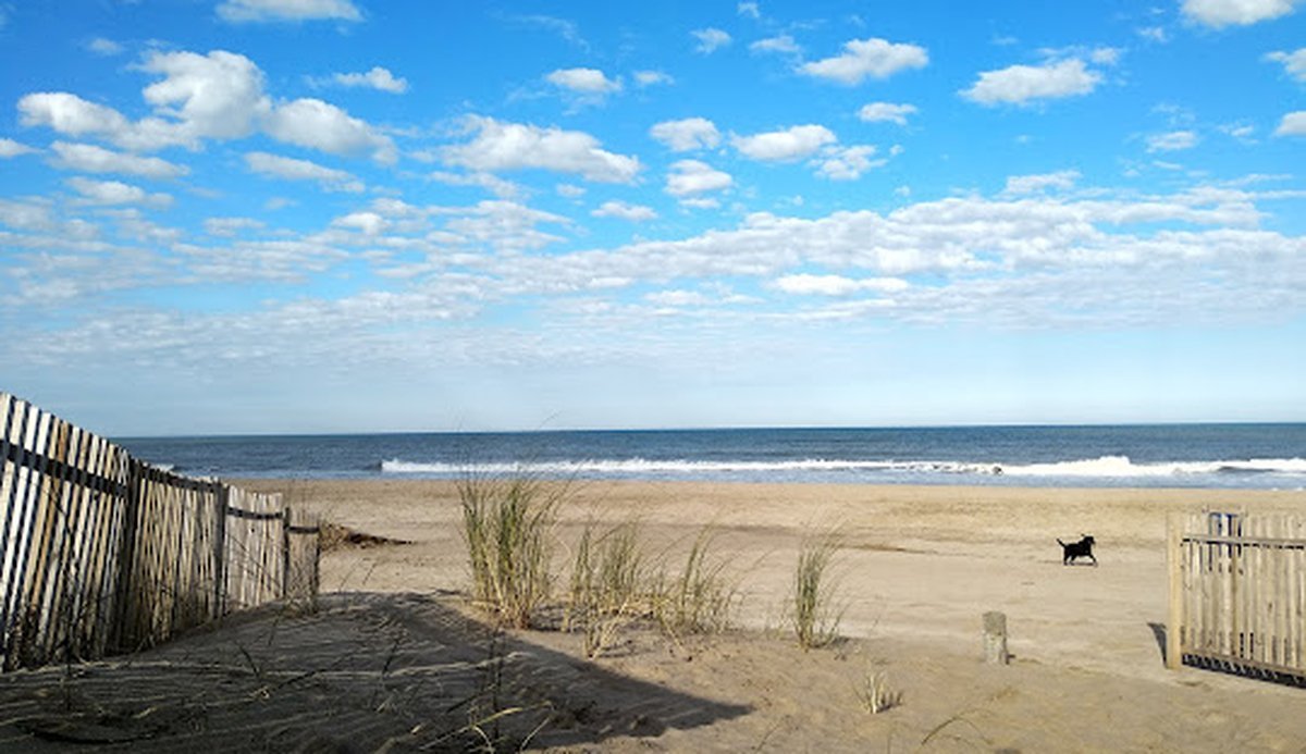 Turismo: conoc&eacute; dos playas tranquilas y rodeadas de bosques.