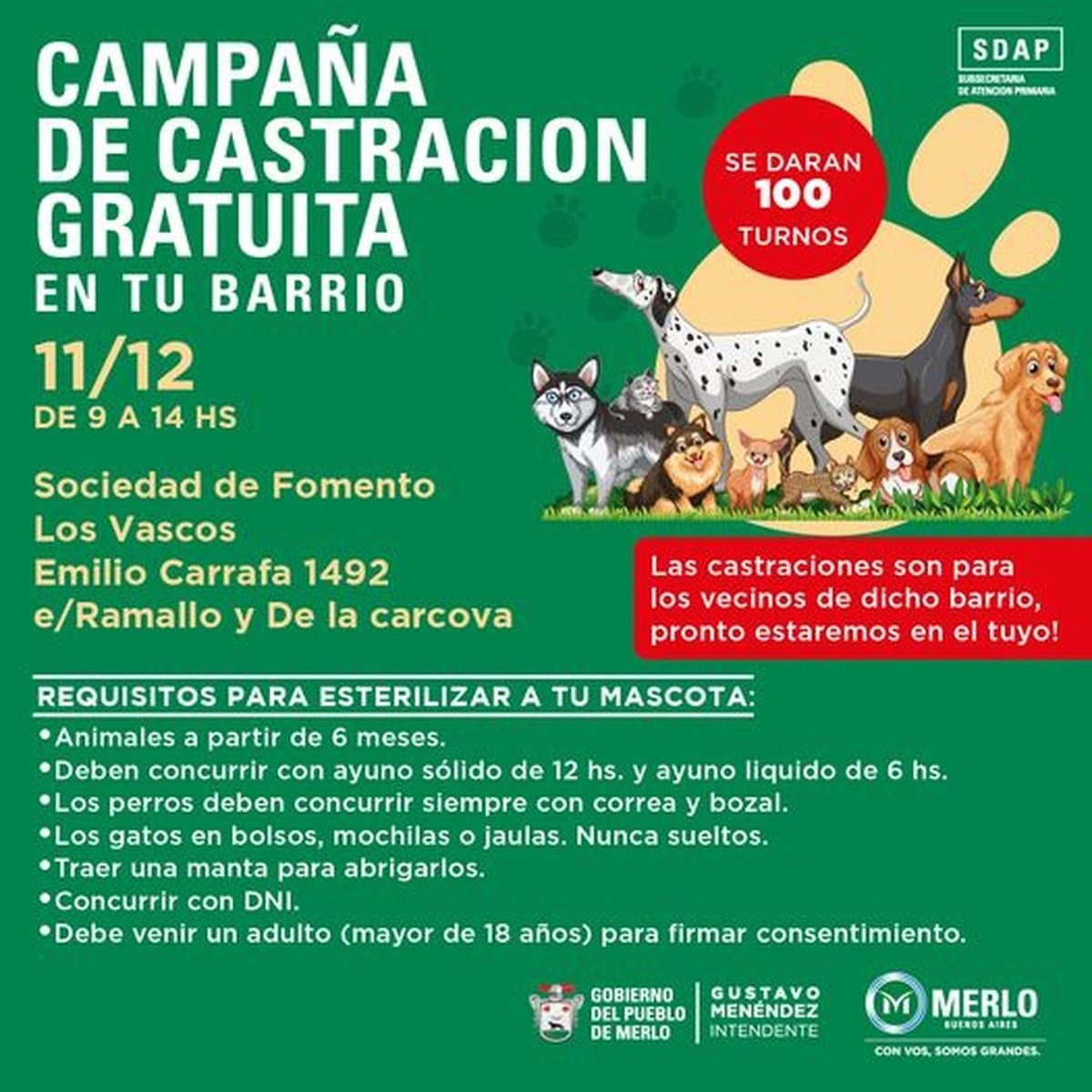 Campa&ntilde;a de castraci&oacute;n gratuita en Merlo.