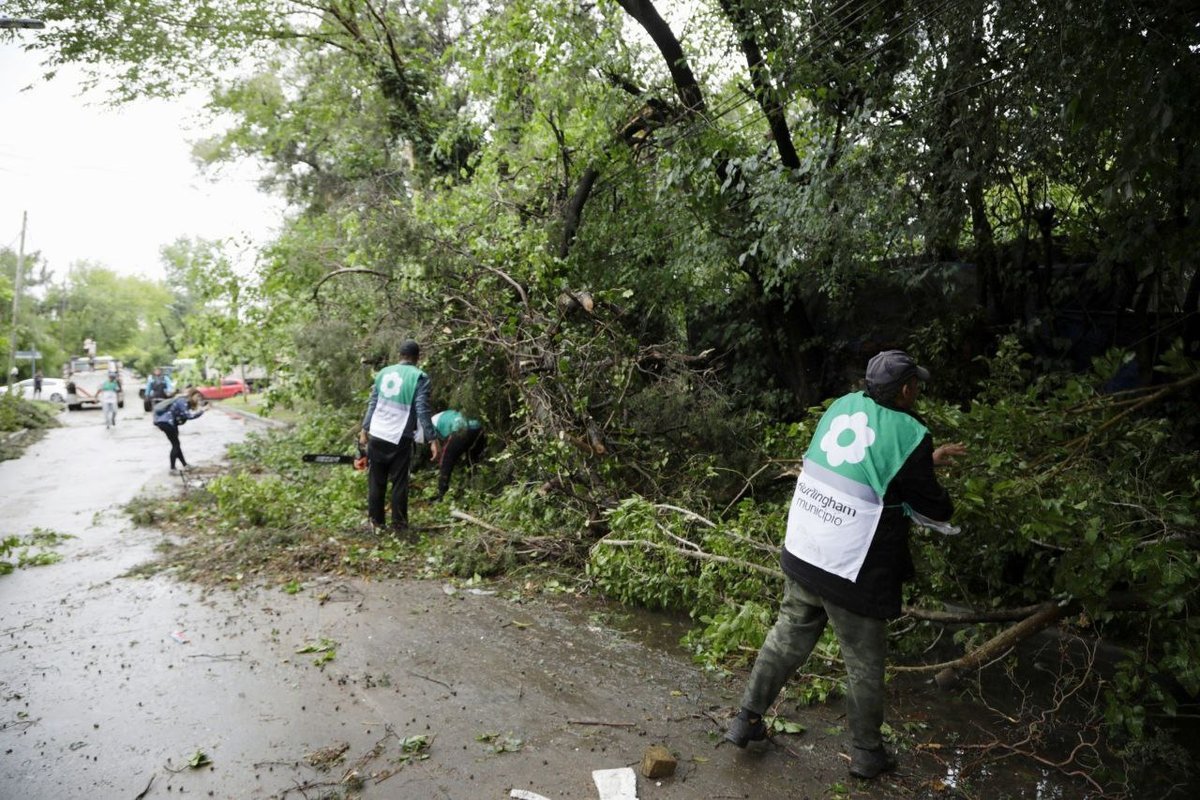 Trabajadores municipales de Hurlingham y un &aacute;rbol ca&iacute;do.