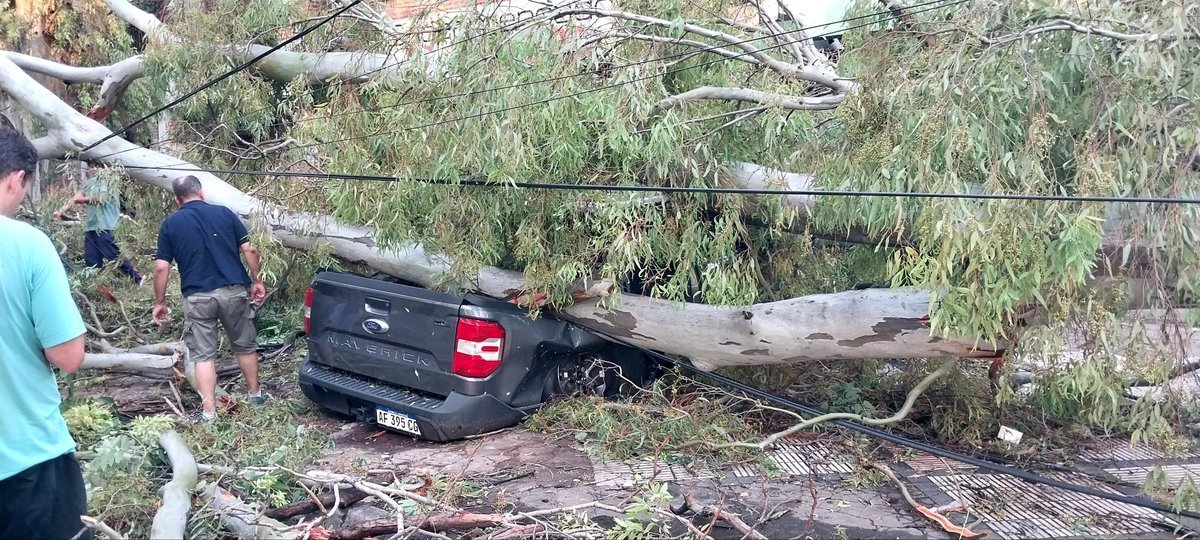 Un &aacute;rbol ca&iacute;do sobre una camioneta de Ciudad Jard&iacute;n, Tres de Febrero.