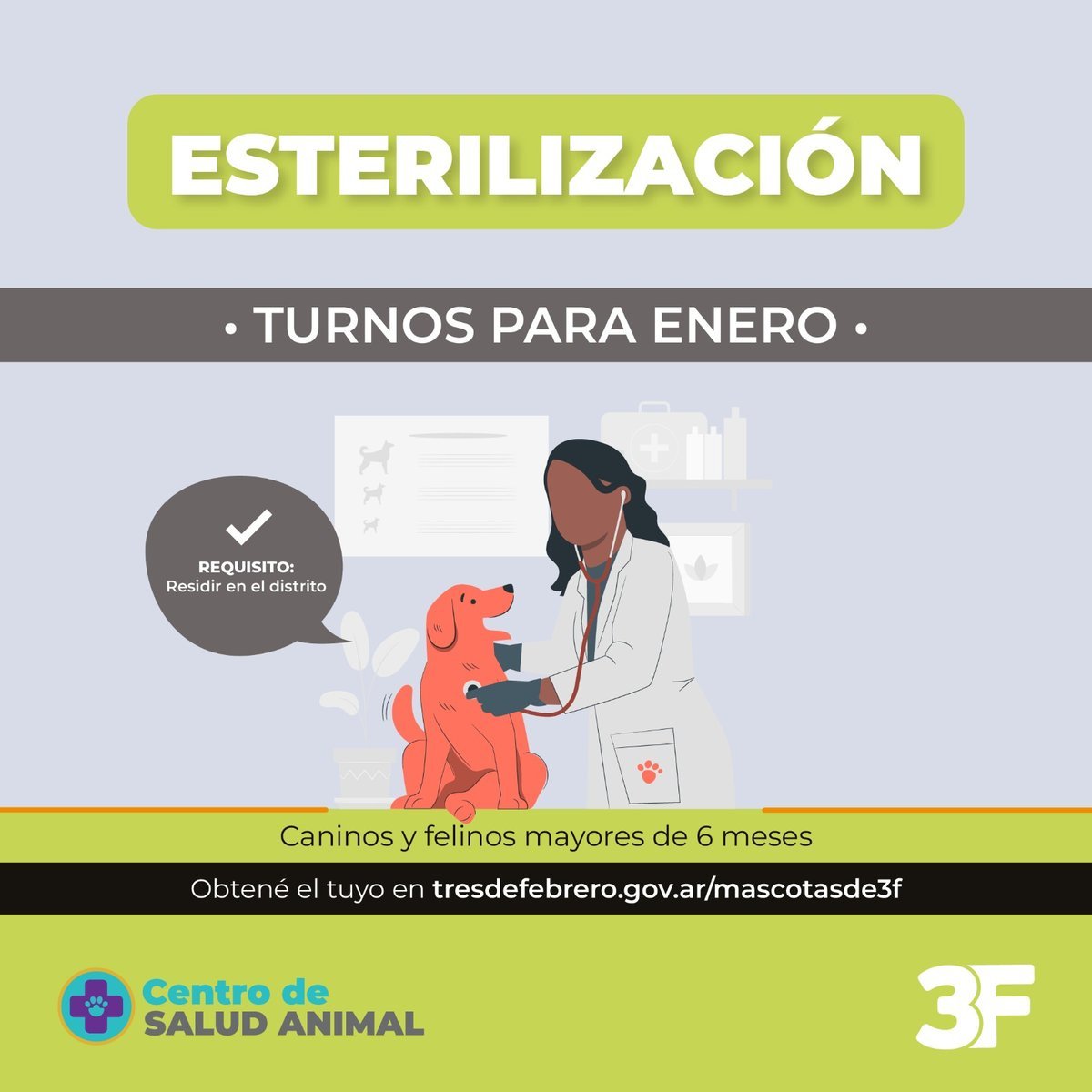 Tres de Febrero brinda turnos de esterilizaci&oacute;n para enero.