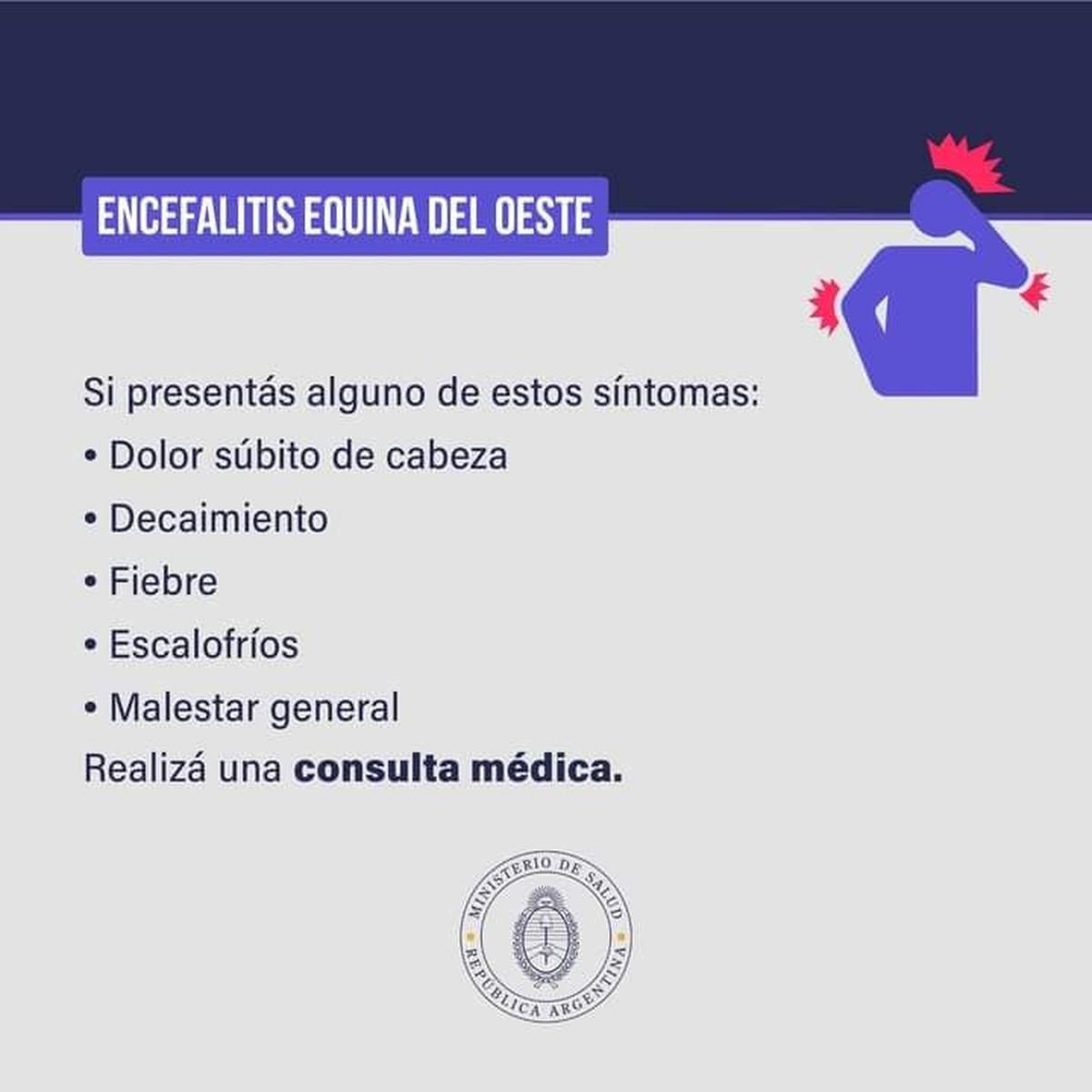 El Hospital Posadas advierte sobre enfermedad que transmite el mosquito.