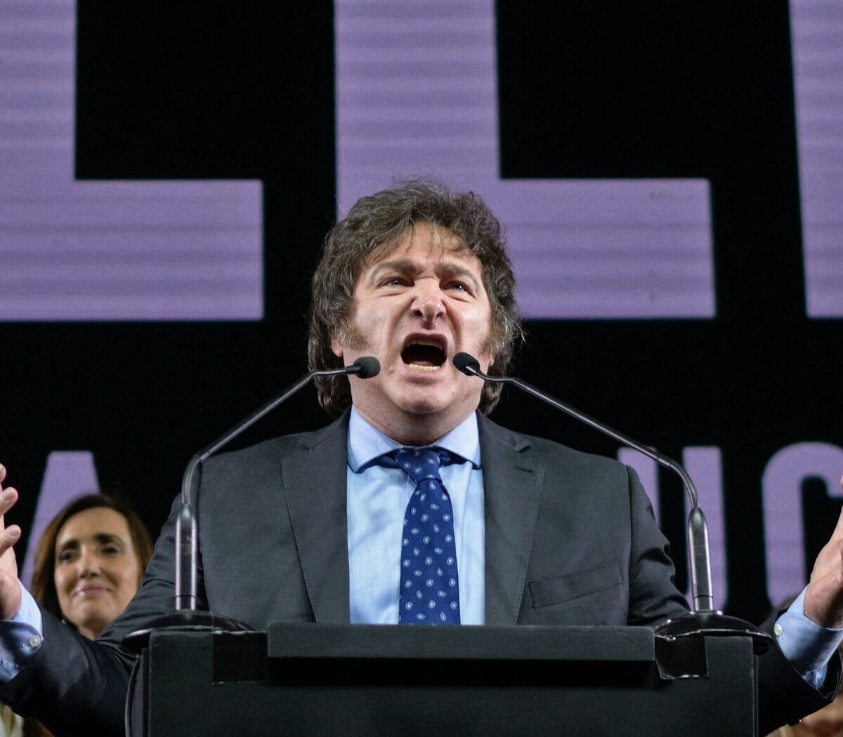 Ley Bases: las privatizaciones y otros aspectos que quedaron fuera