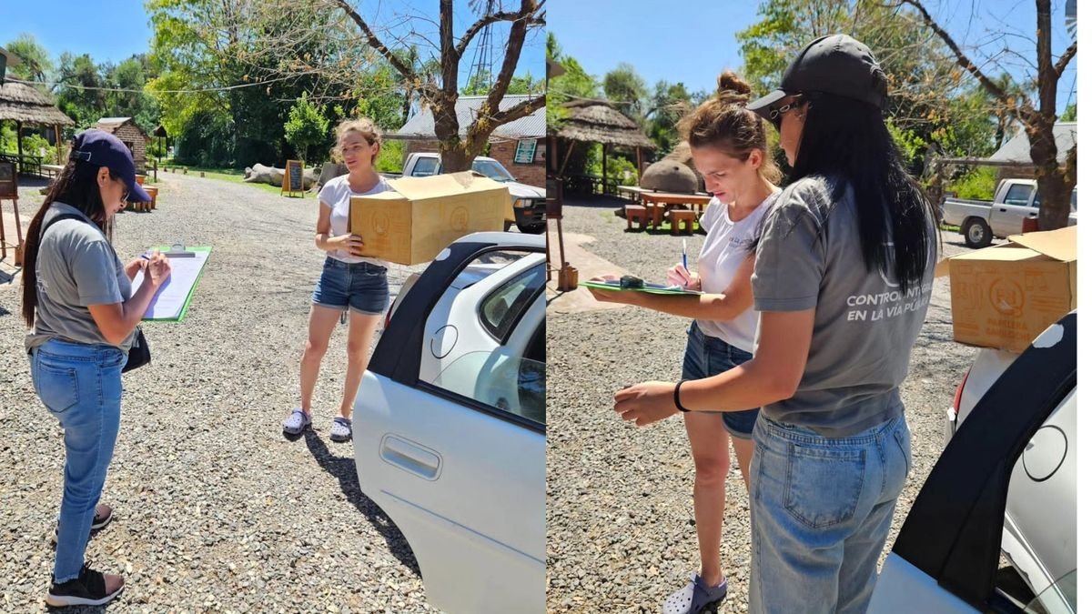 Moreno rescat&oacute; conejos que estaban en venta clandestina.