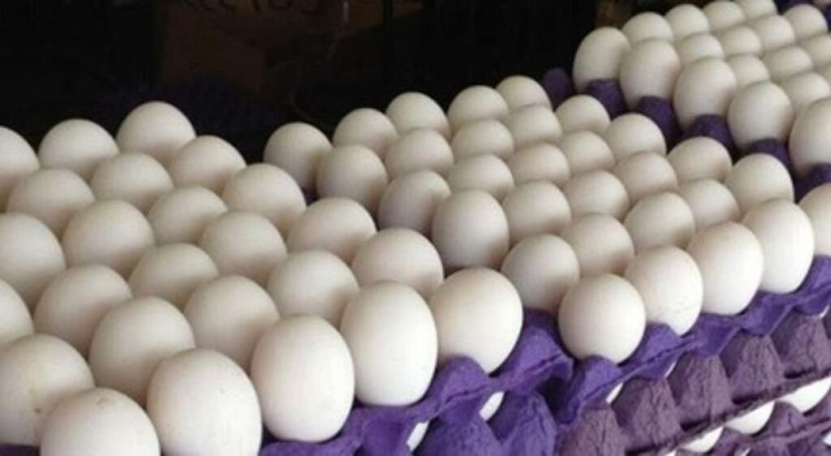 D&oacute;nde comprar huevos m&aacute;s econ&oacute;micos en Zona Oeste.