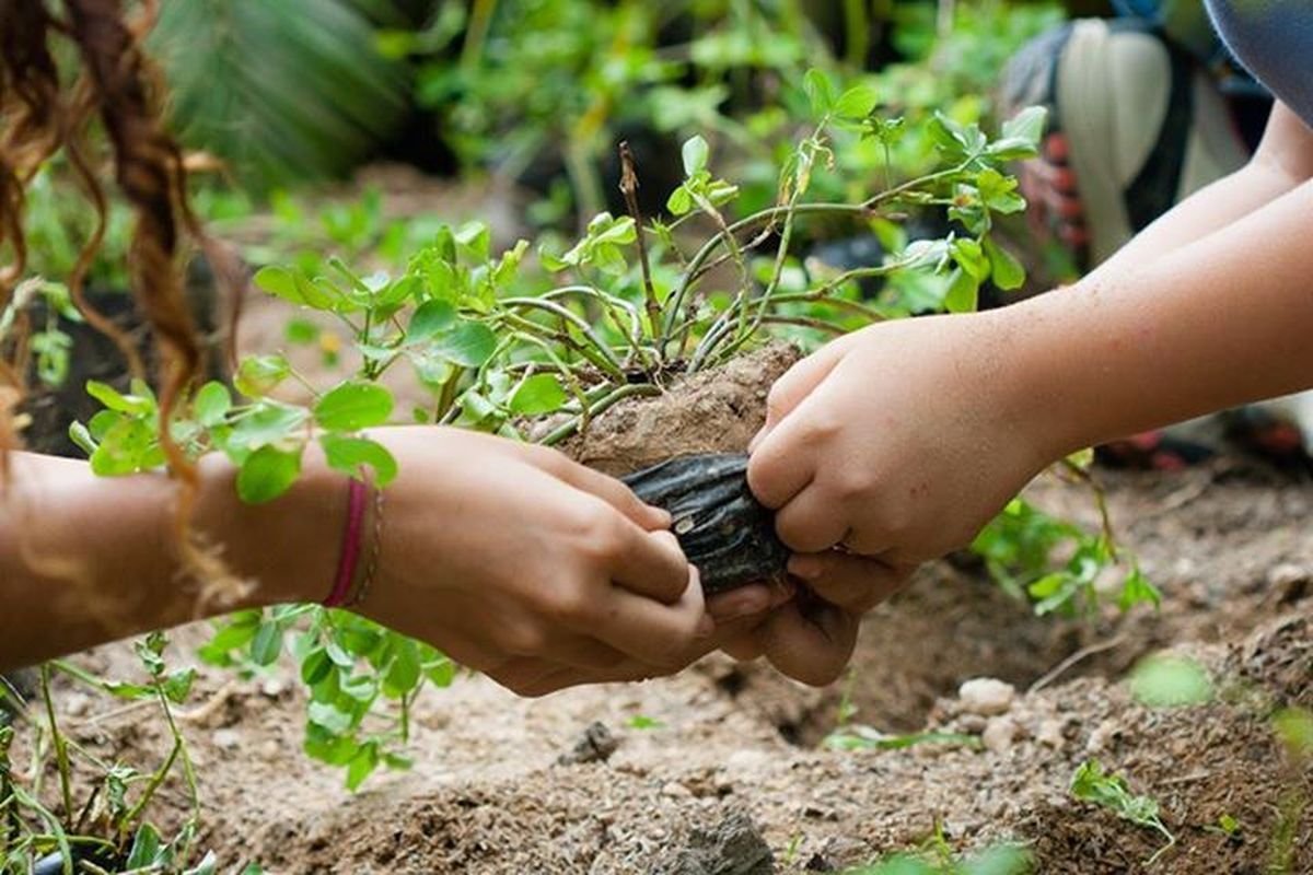 Moreno brindar&aacute; charlas y talleres en siembra de plantas.
