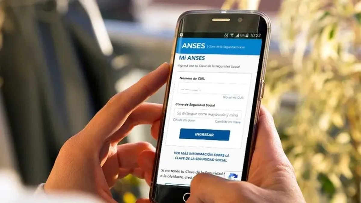 ANSES: hasta cu&aacute;ndo se podr&aacute; presentar la Libreta AUH online.