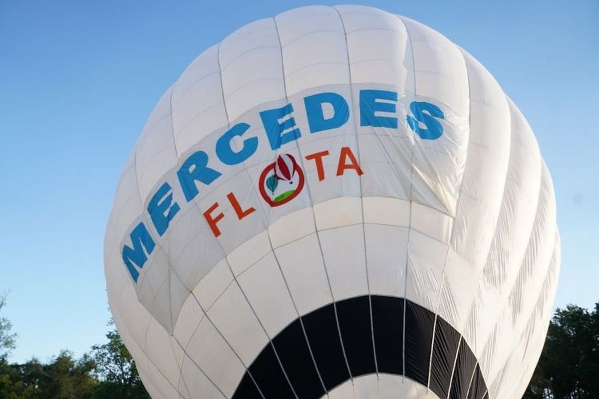 Mercedes Flota 2024.