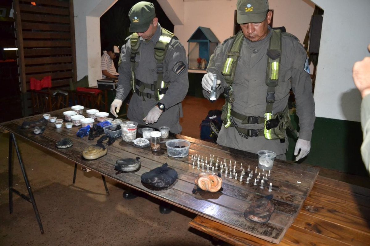 Los animales que se dirig&iacute;an a San Justo.