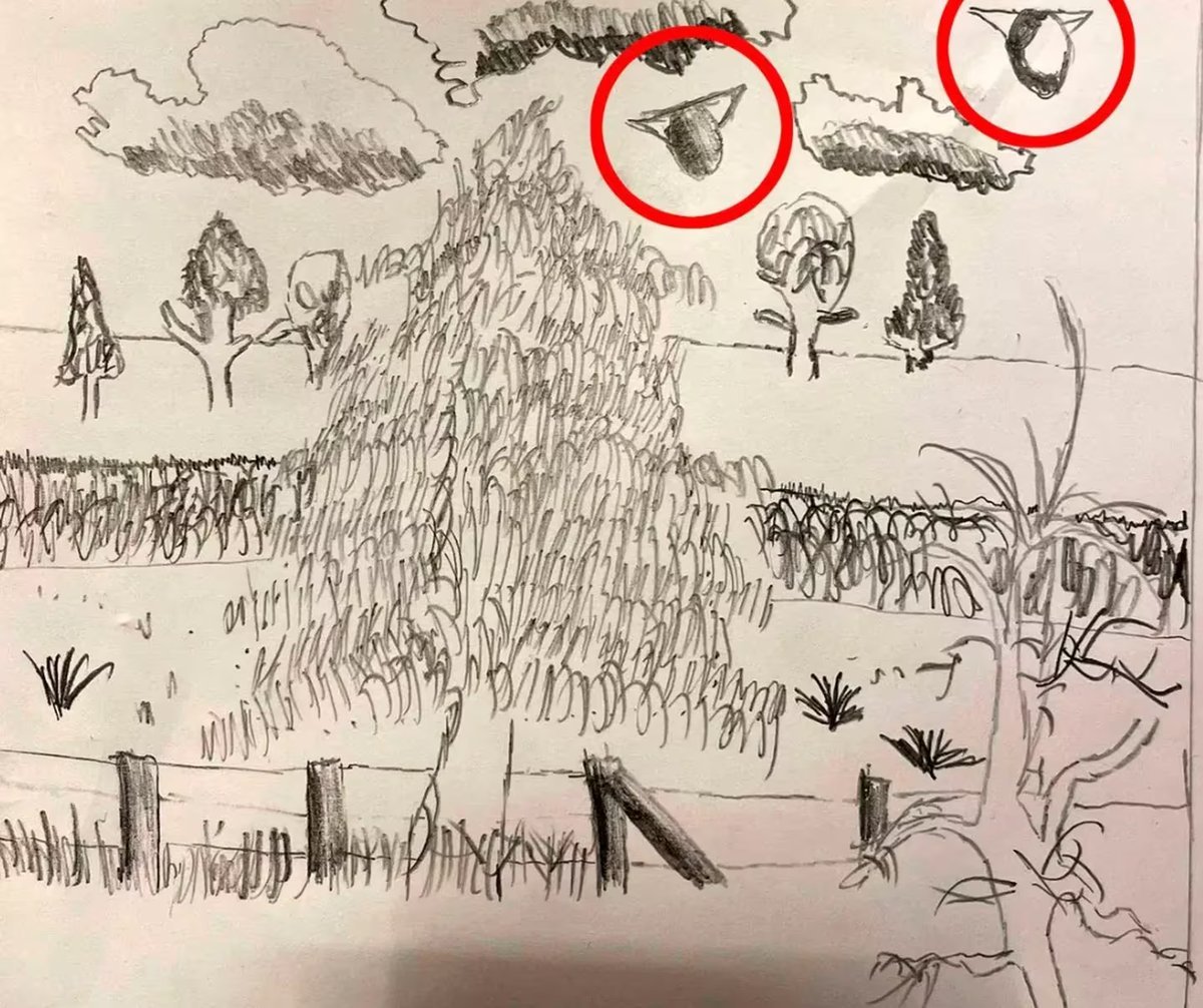 El dibujo que hizo el joven brit&aacute;nico. Foto: Daily Star.