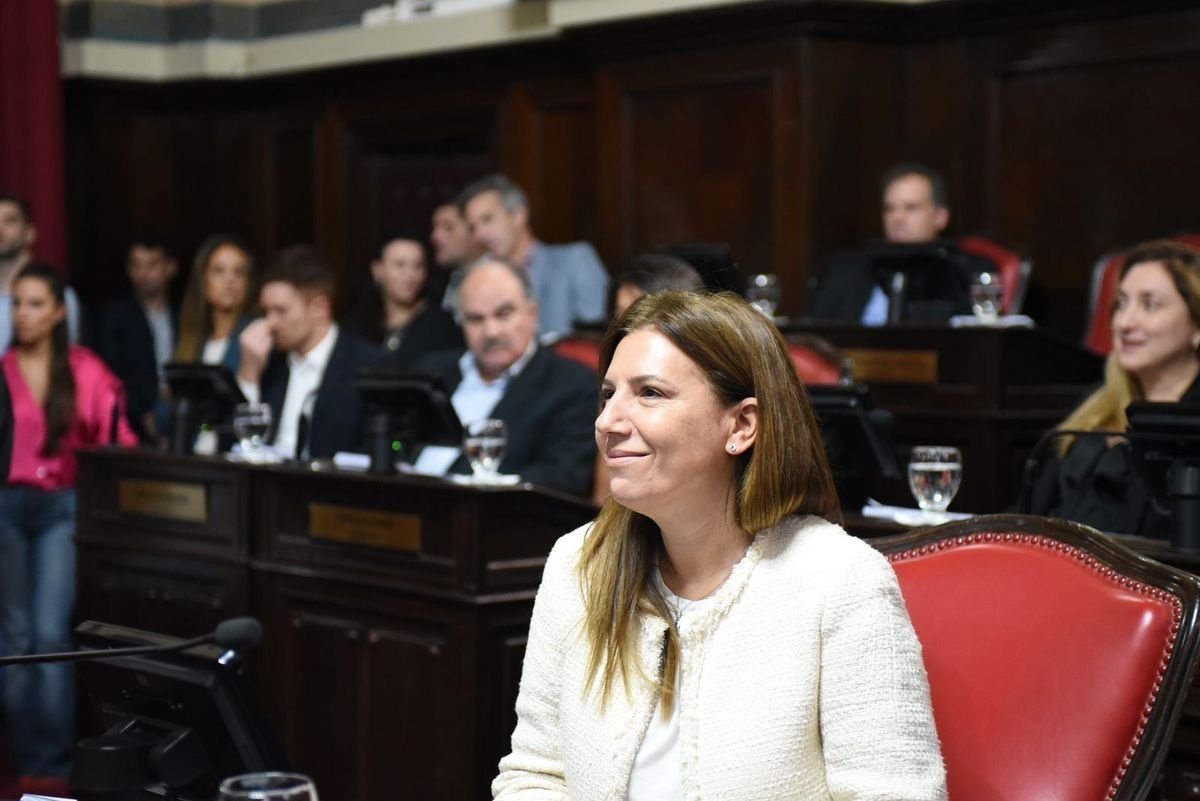 Senado de la Provincia de Buenos Aires: Daniela Reich jur&oacute; como vicepresidenta segunda