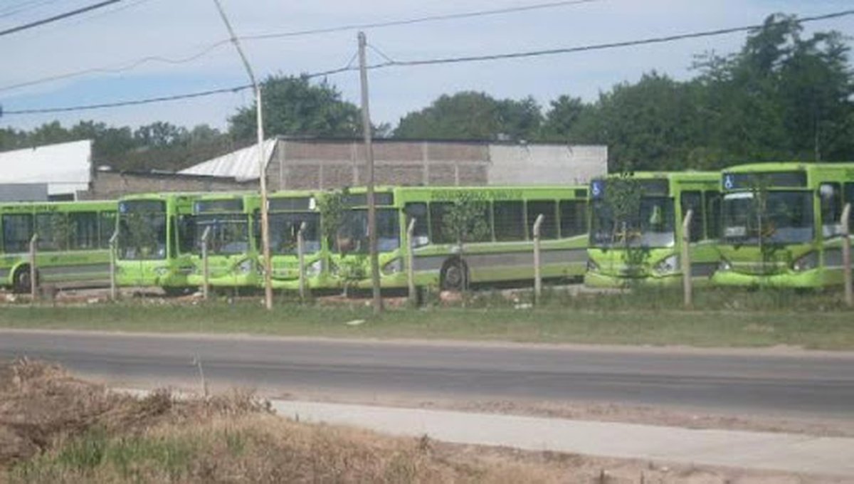 Algunos de los colectivos de Ecotrans en un terreno de Merlo.