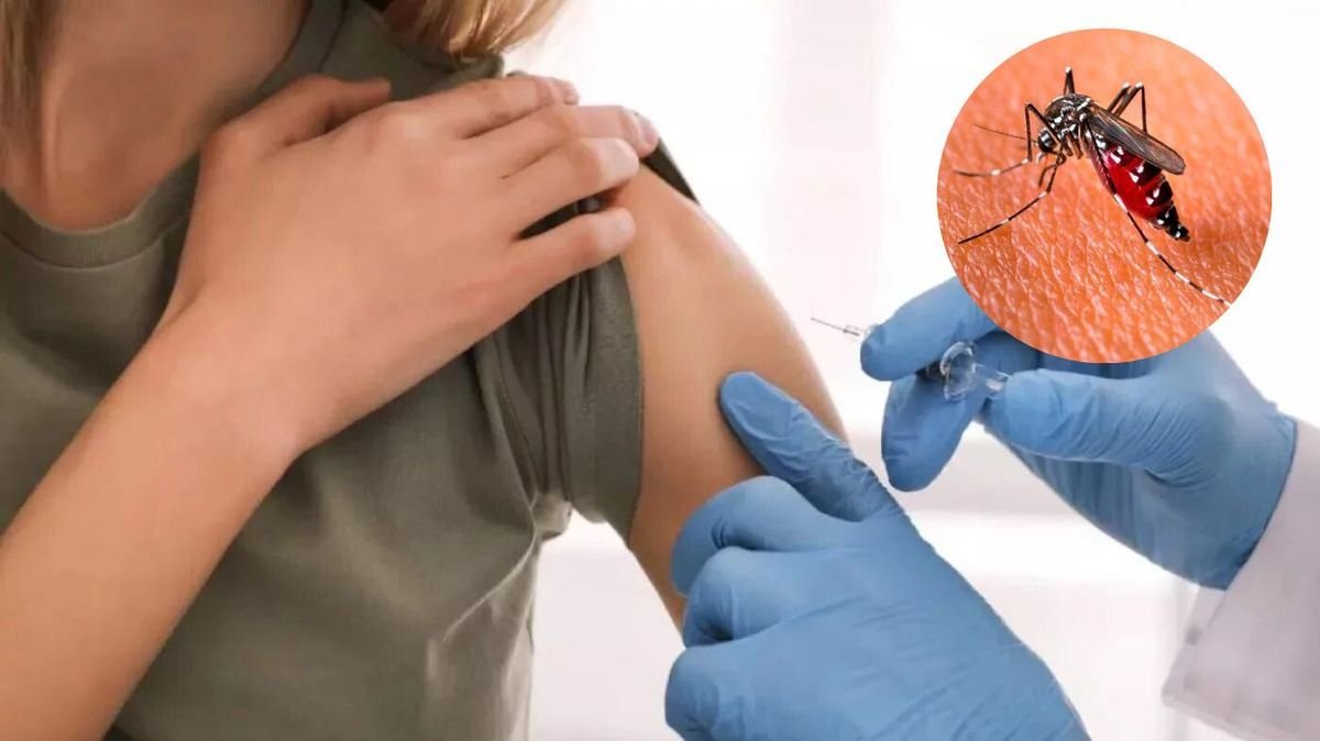 Vacuna contra el dengue.