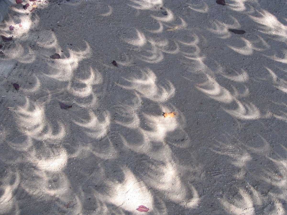 Captura del video viral en redes.