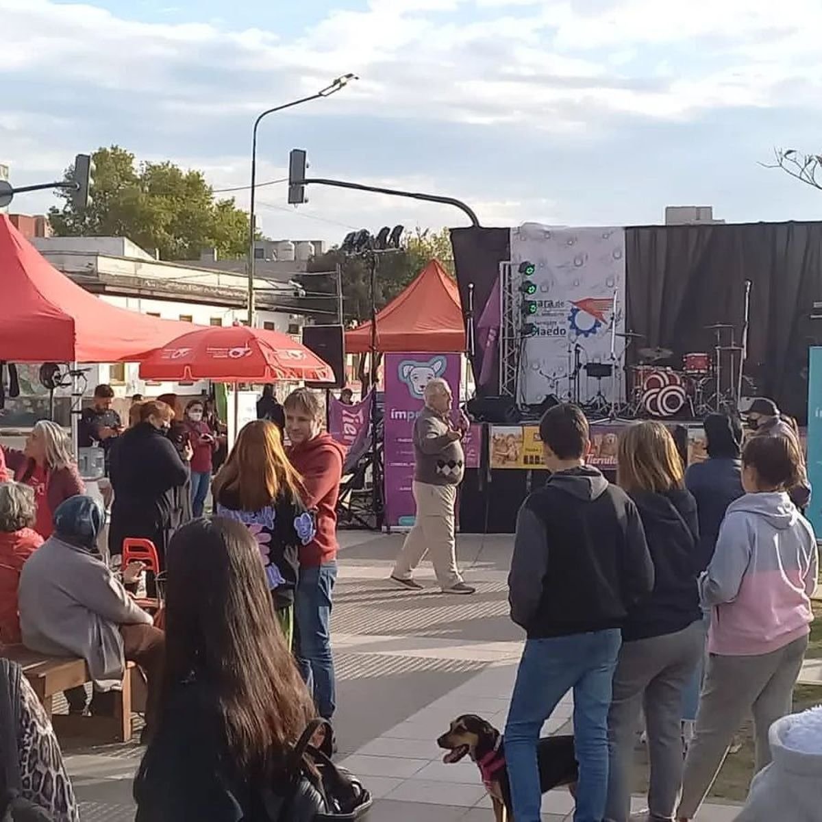 Celebrar&aacute;n el D&iacute;a del Animal en Haedo.