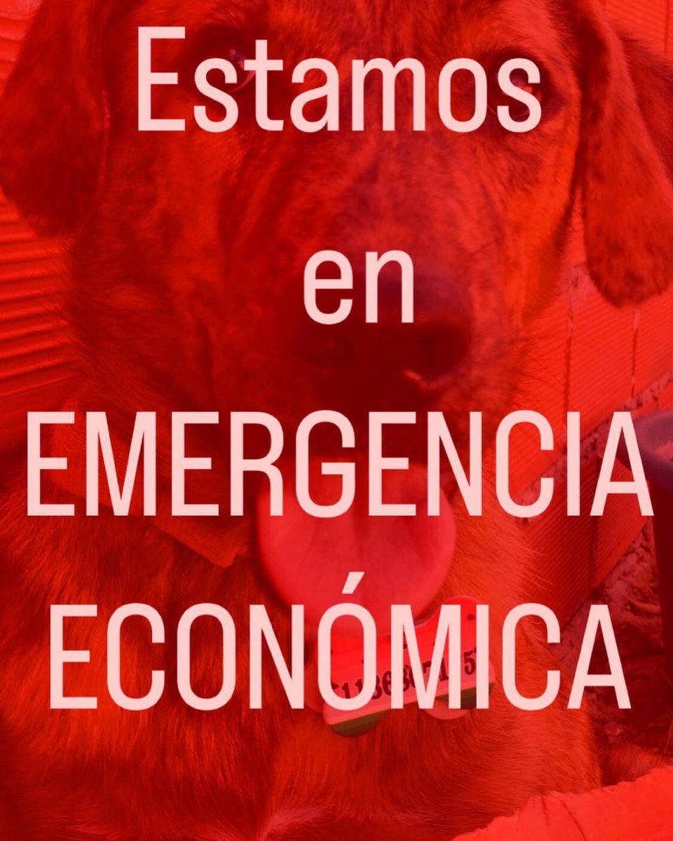 La declaraci&oacute;n de la ONG de Virrey del Pino.
