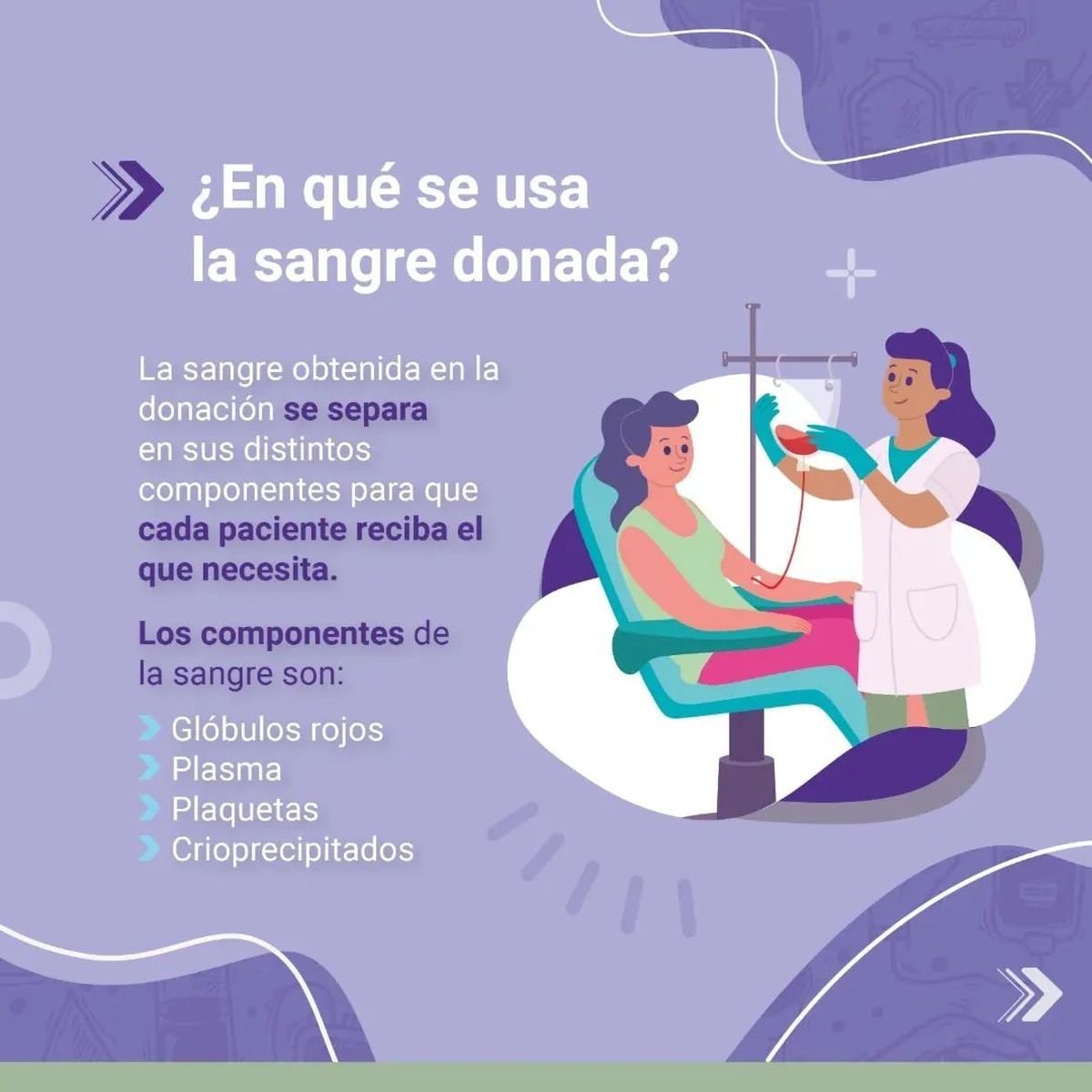 Jornada de donaci&oacute;n de sangre.
