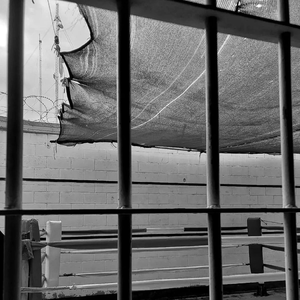 El ring que montaron en la c&aacute;rcel de Gonz&aacute;lez Cat&aacute;n.