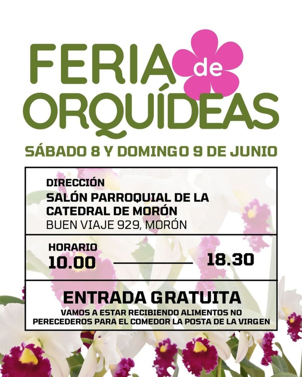 Llega la Feria de Orqu&iacute;deas a Mor&oacute;n este fin de semana en un evento solidario.