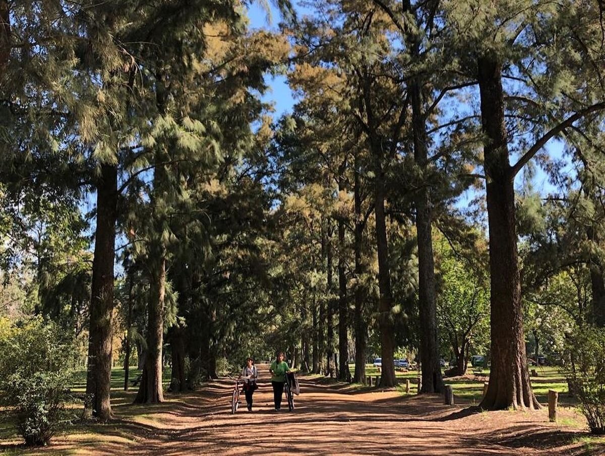 Reserva Natural de Moreno, un pulm&oacute;n verde en Zona Oeste.
