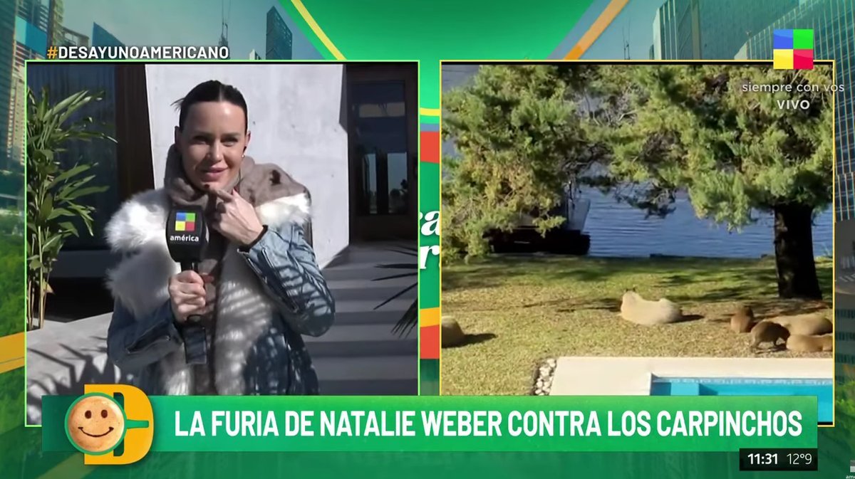 Televisi&oacute;n: Natalie Weber y su bronca contra los carpinchos por arruinarle su casa.