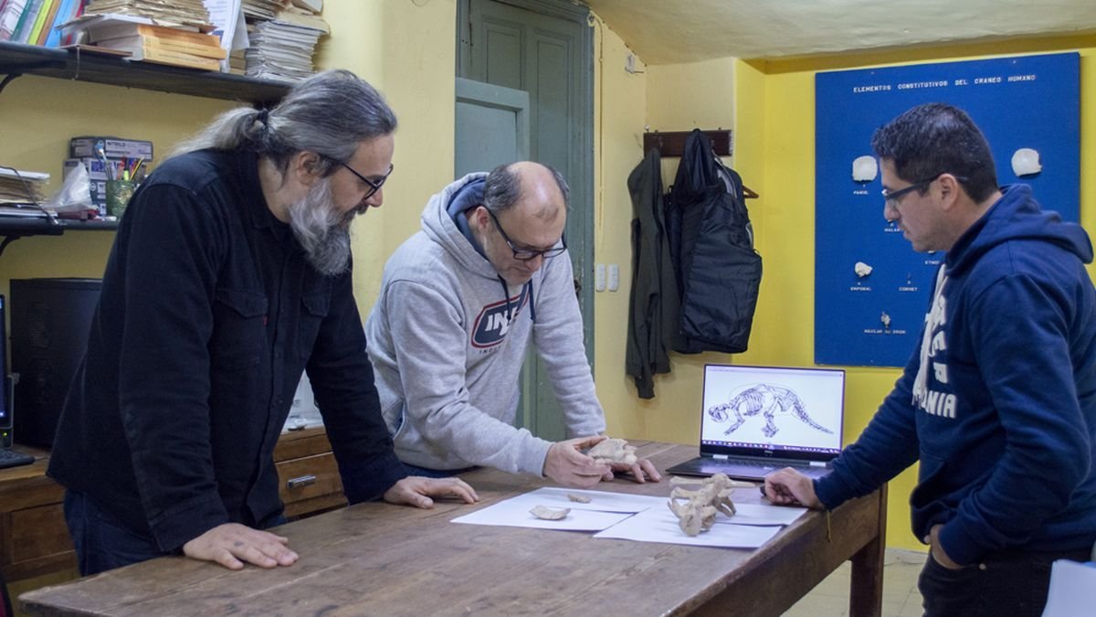 Tres de los cient&iacute;ficos autores del hallazgo.