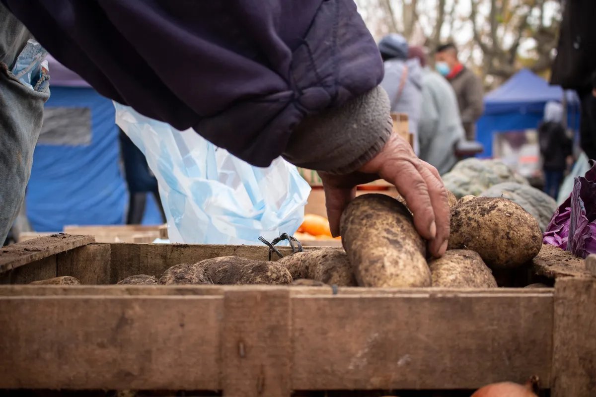 D&oacute;nde comprar verduras, frutas, carnes, y m&aacute;s a precios bajos en Moreno.