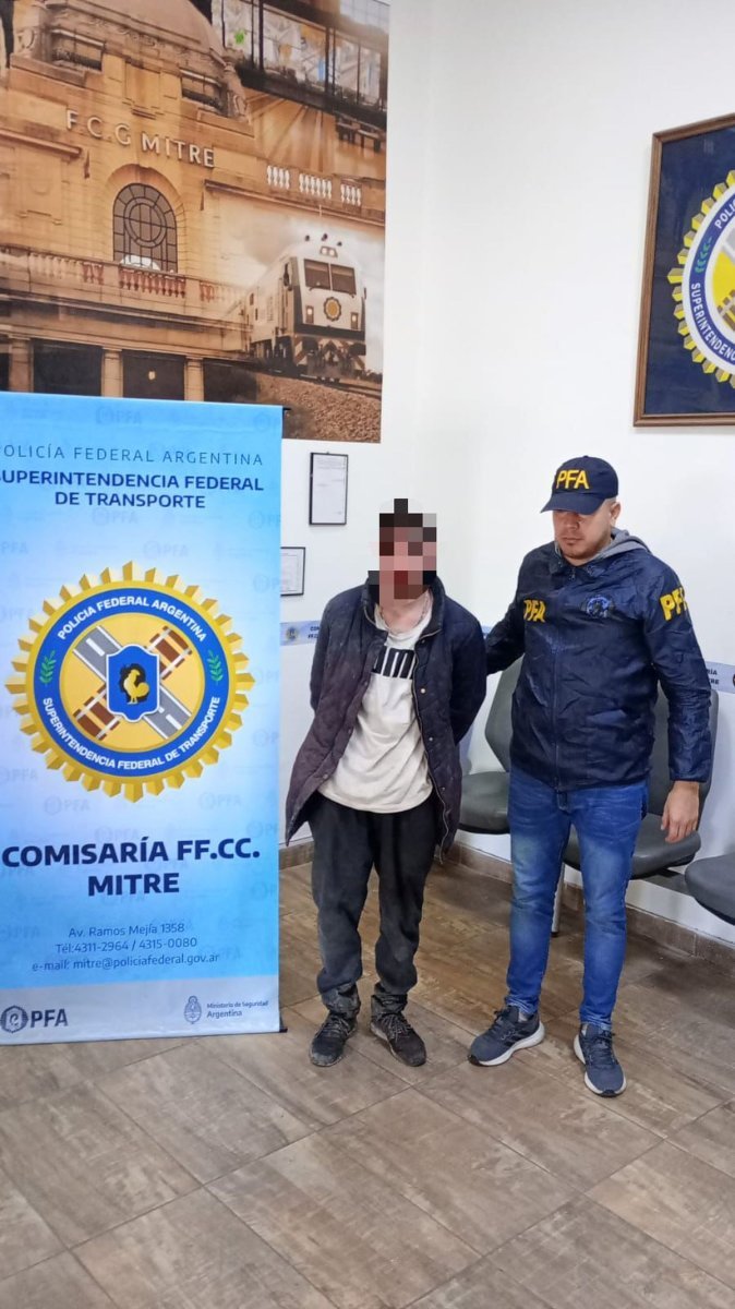 Trenes: otro detenido por robo de cables en la L&iacute;nea Mitre.