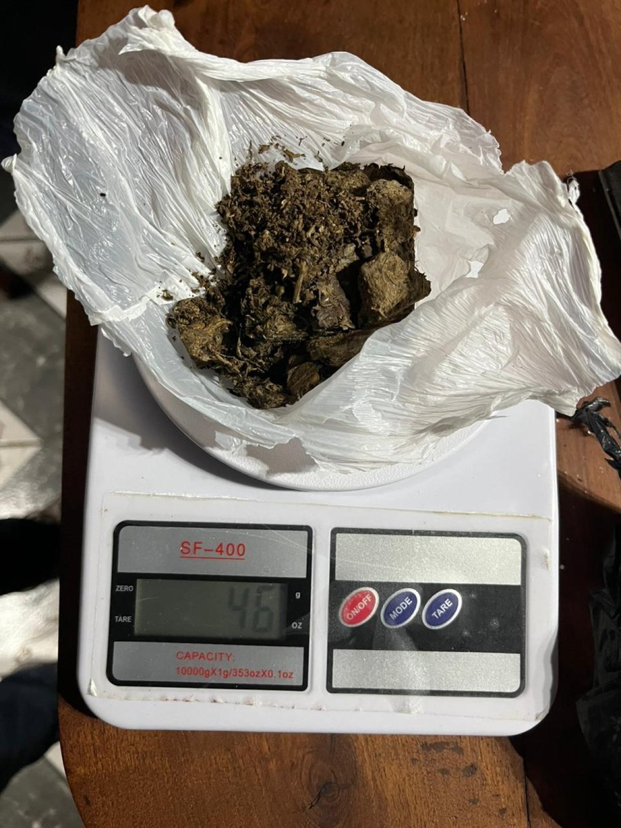 La marihuana secuestrada en Caseros.