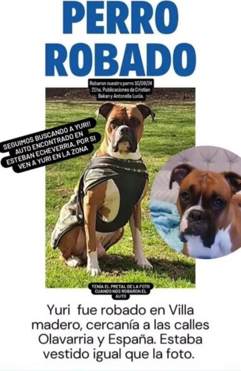 El perro robado en Villa Madero.