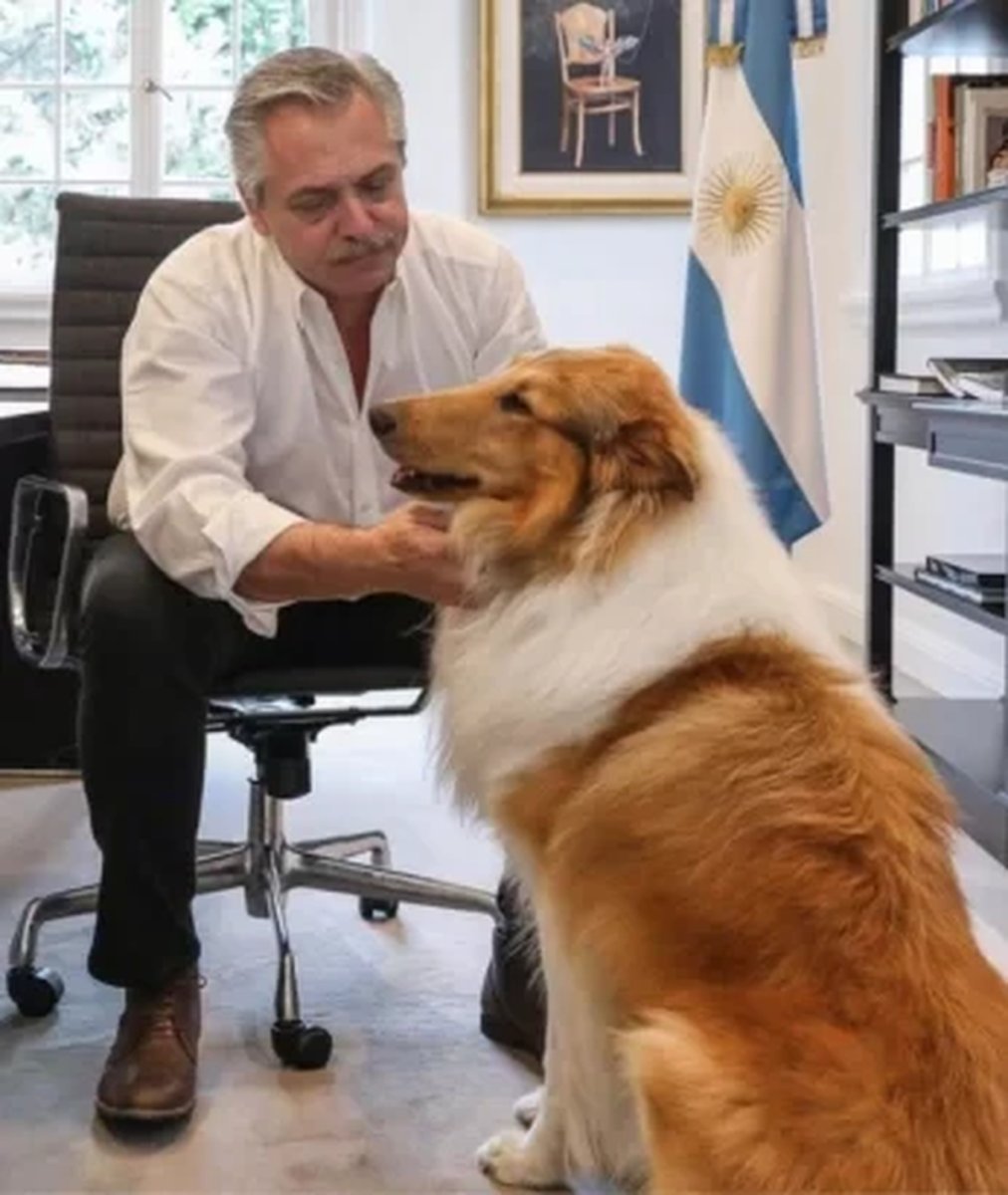 Javier Milei ir&oacute;nico con Alberto Fern&aacute;ndez tras la imputaci&oacute;n: le ofreci&oacute; cuidar a Dylan