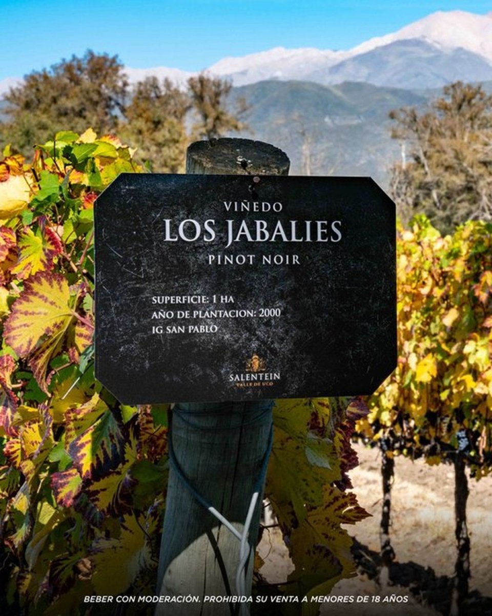 Bodegas Salentein celebra el D&iacute;a Internacional del Pinot Noir.