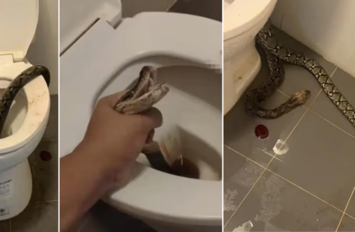 Video viral en redes. Foto: captura.