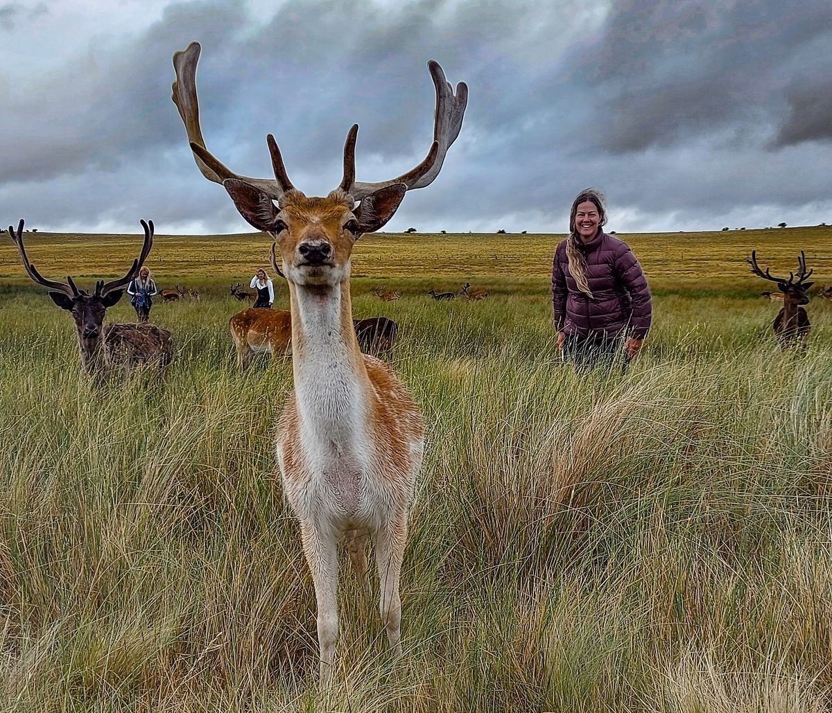 Turismo: conoc&eacute; el destino bonaerense ideal para el avistaje y realizar caminatas bajo las estrellas.