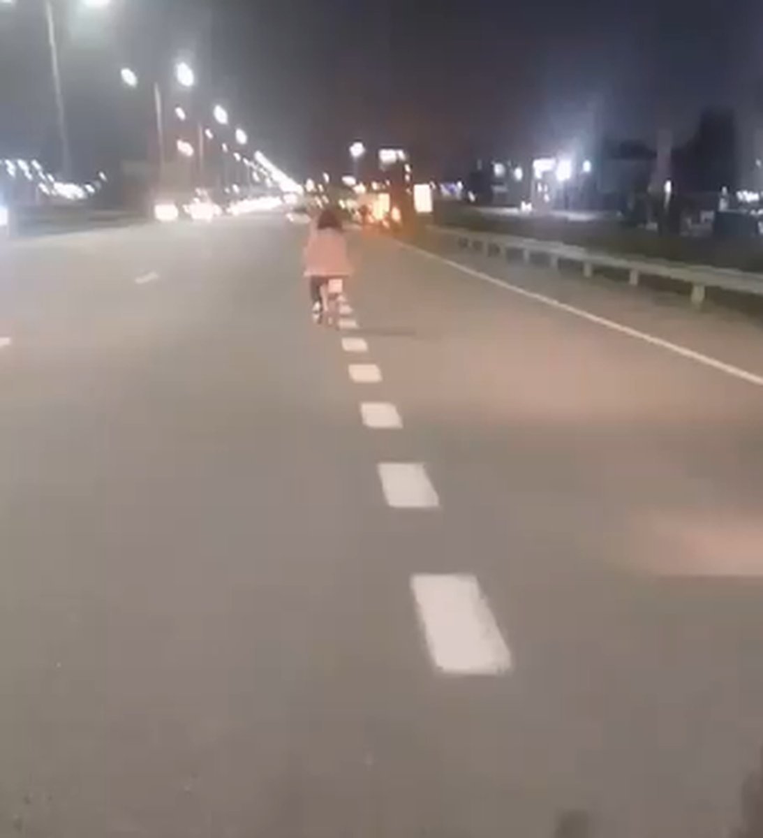Viral: una nena anduvo en bicicleta por la Panamericana.