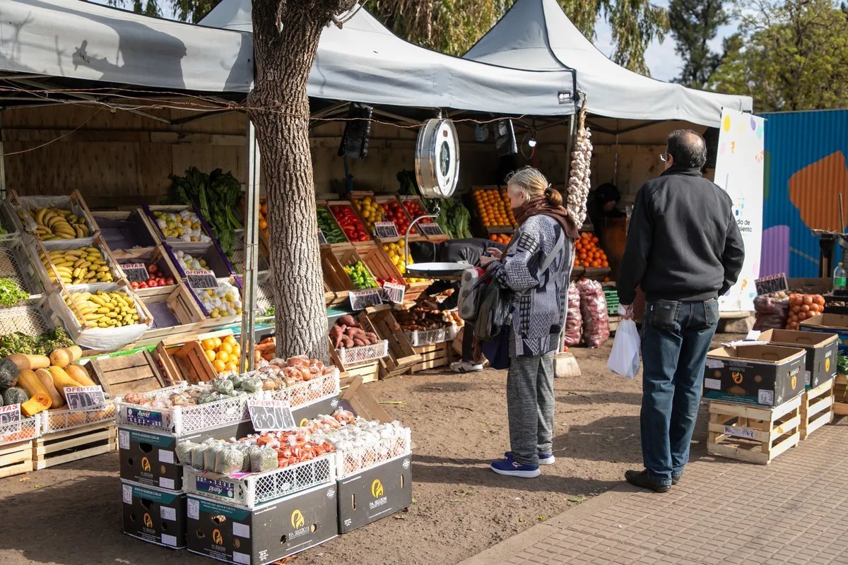 D&oacute;nde se ubicar&aacute;n los mercados bonaerenses esta semana en el oeste.