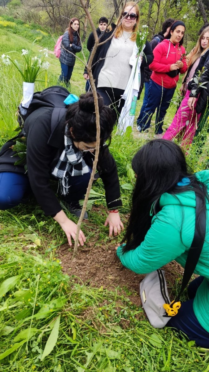 Un Espinillo plant&aacute;ndose en la Reserva Natural de Ciudad Evita.