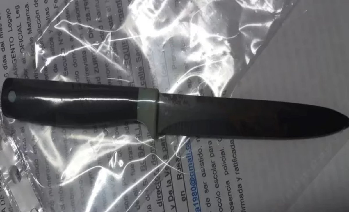 El arma blanca secuestrada de la escuela de Ramos Mej&iacute;a.