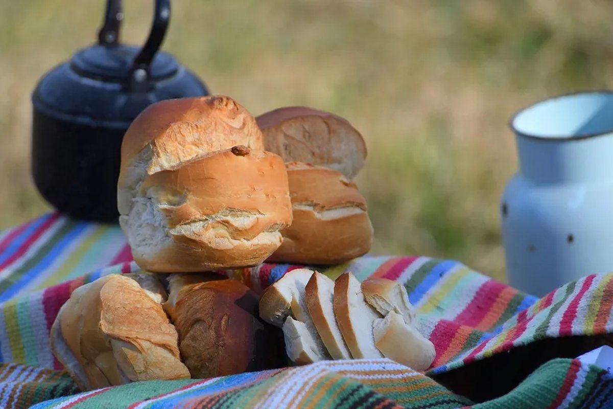 Cu&aacute;ndo y d&oacute;nde se realizar&aacute; la 7&deg; Fiesta de la Galleta de Campo con entrada gratuita.