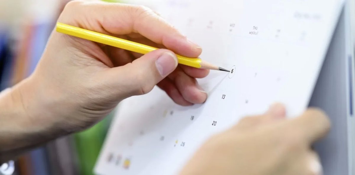 Calendario 2024: los feriados que quedan hasta fin de a&ntilde;o.